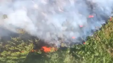 Yangın Dumanı Sağlığınızı Tehdit Ediyor! Bakanlık Uyardı